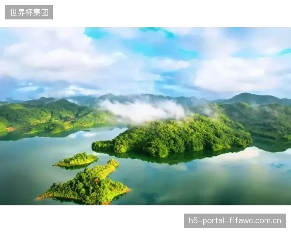 为何大量体育赛事热衷于购买异地林业碳汇，而非投资于本地社区的直接减排项目？